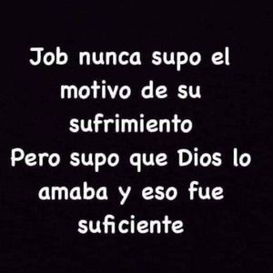 Meet your Posher, Luz